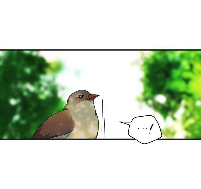 Bị Che Khuất Bởi Mặt Trời Lặn Chapter 15 - 23