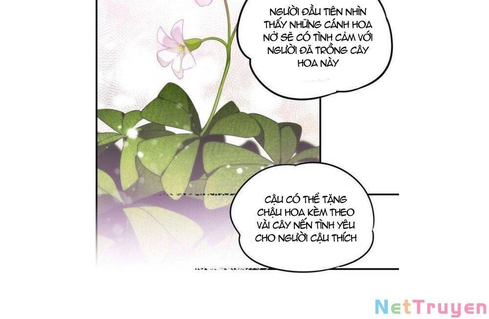 Bị Che Khuất Bởi Mặt Trời Lặn Chapter 39 - 20