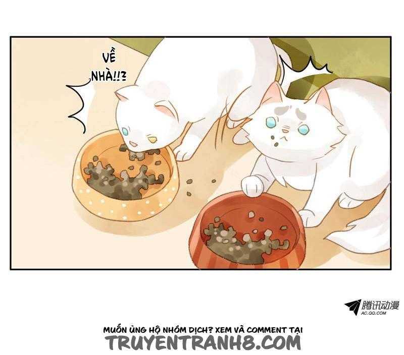 Sức Mạnh Của Sắc Đẹp Chapter 12 - 10