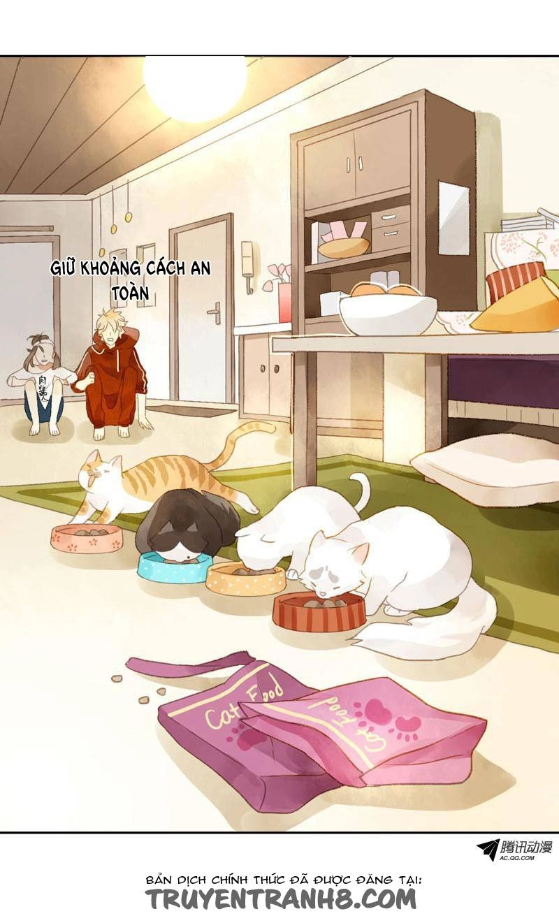 Sức Mạnh Của Sắc Đẹp Chapter 12 - 15