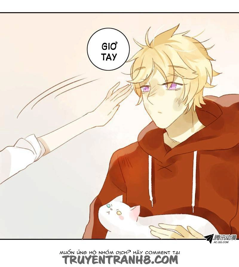 Sức Mạnh Của Sắc Đẹp Chapter 14 - 8