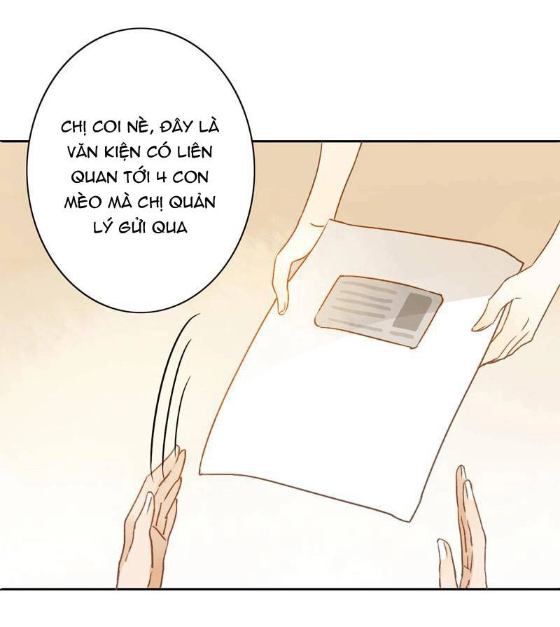 Sức Mạnh Của Sắc Đẹp Chapter 45 - 13