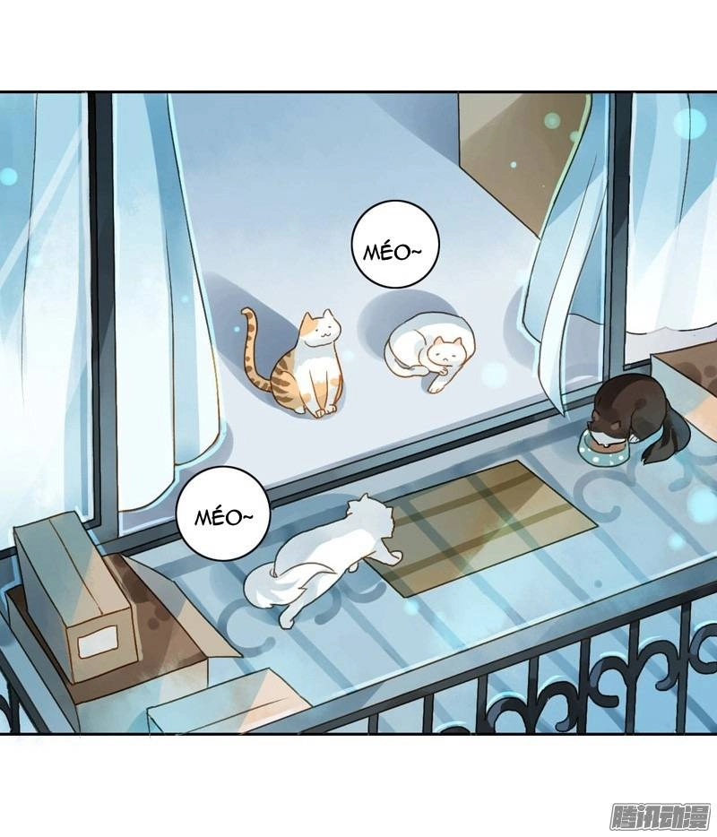 Sức Mạnh Của Sắc Đẹp Chapter 50 - 16