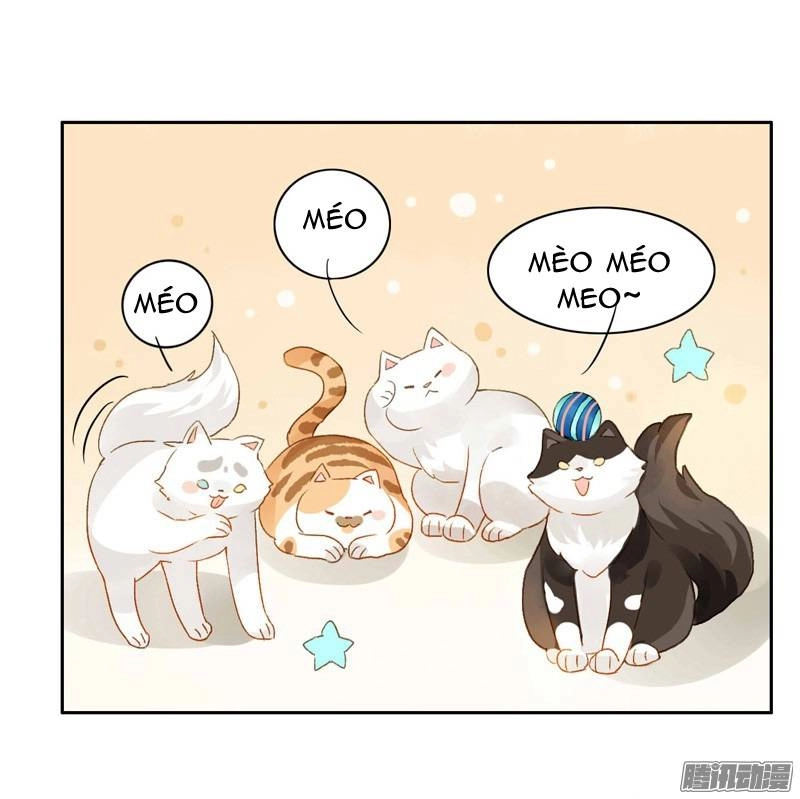 Sức Mạnh Của Sắc Đẹp Chapter 58 - 12