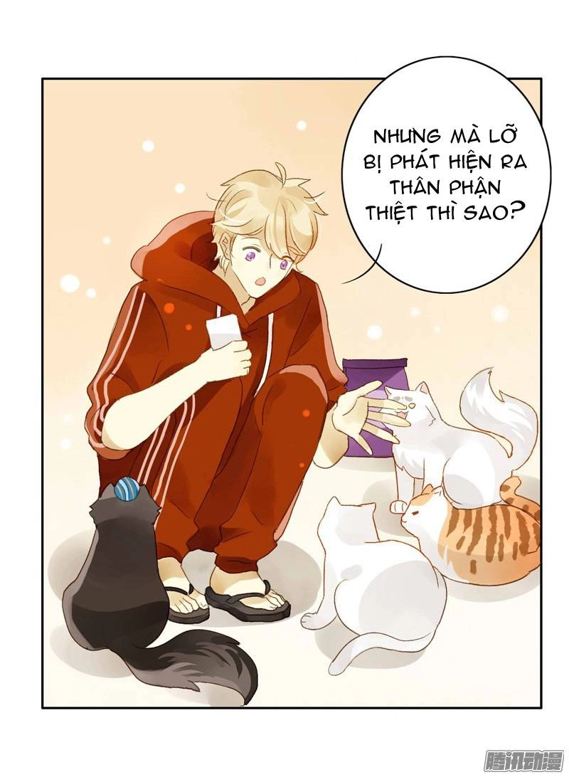 Sức Mạnh Của Sắc Đẹp Chapter 58 - 13