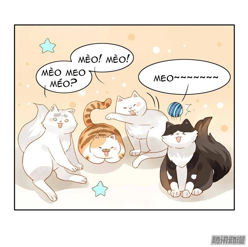 Sức Mạnh Của Sắc Đẹp Chapter 58 - 14