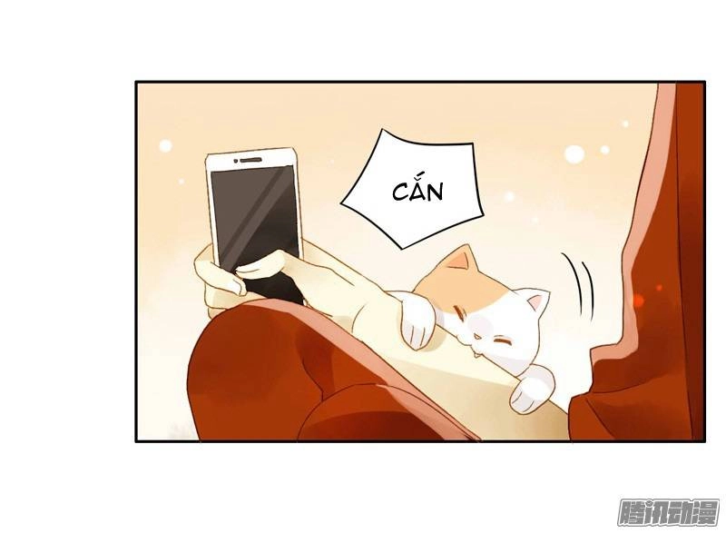 Sức Mạnh Của Sắc Đẹp Chapter 58 - 16