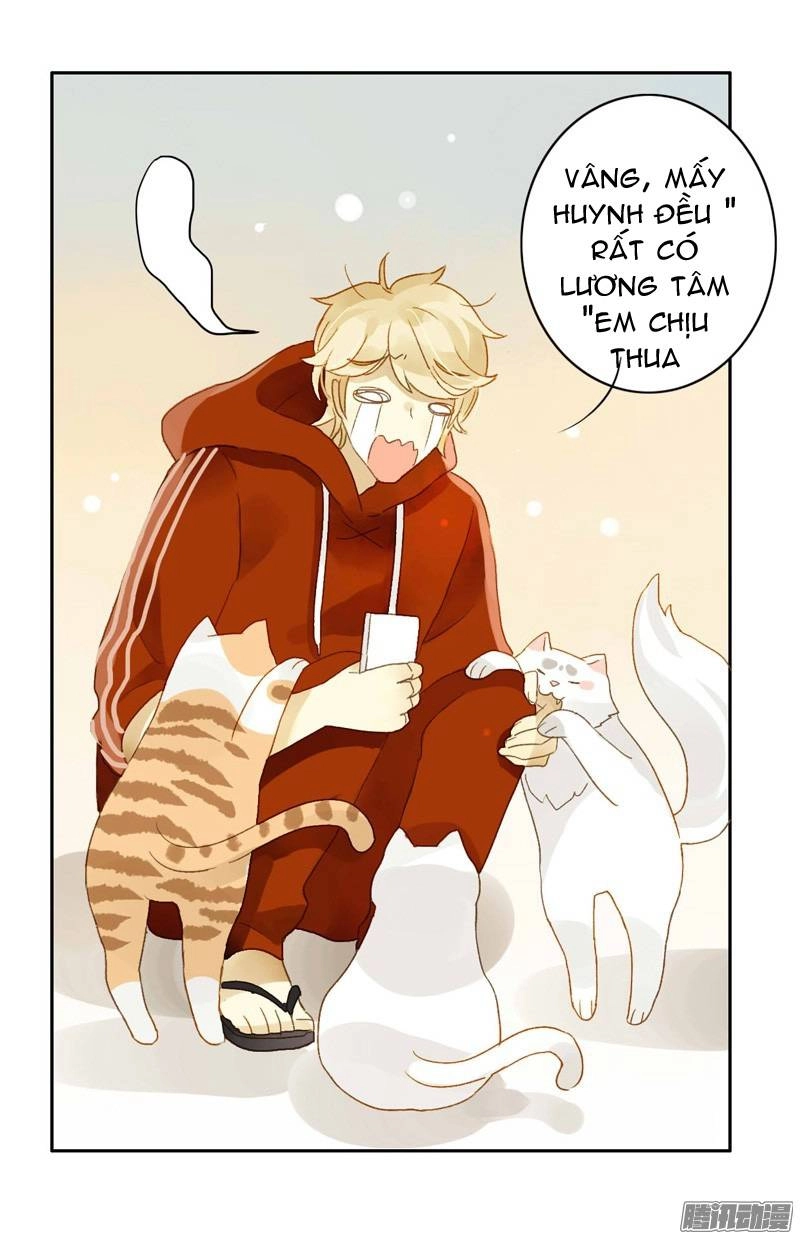 Sức Mạnh Của Sắc Đẹp Chapter 58 - 19