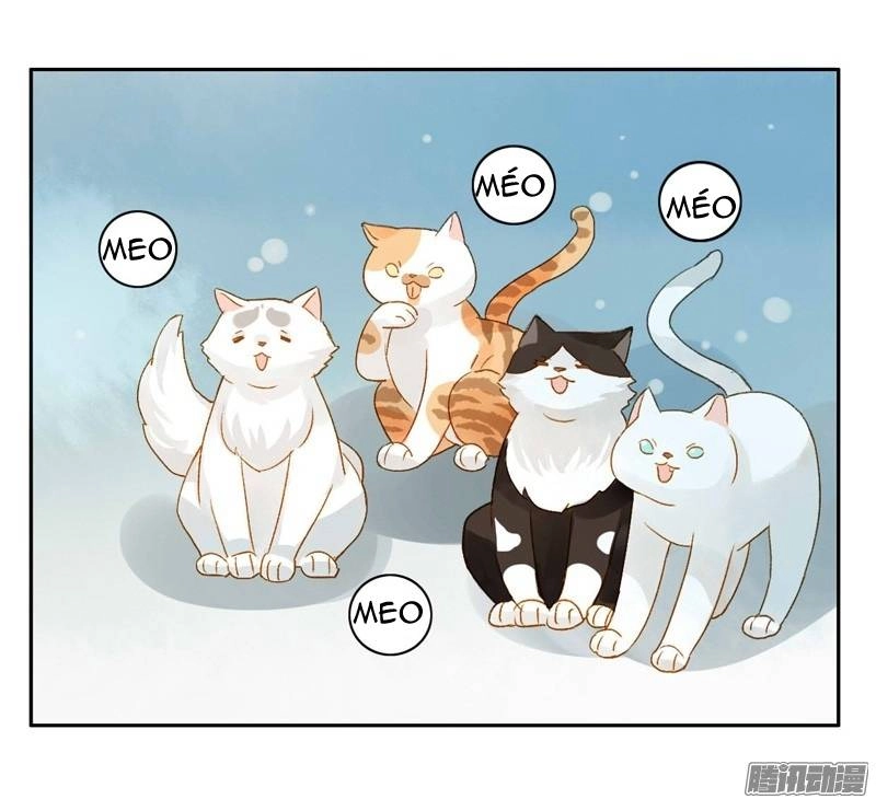 Sức Mạnh Của Sắc Đẹp Chapter 65 - 20