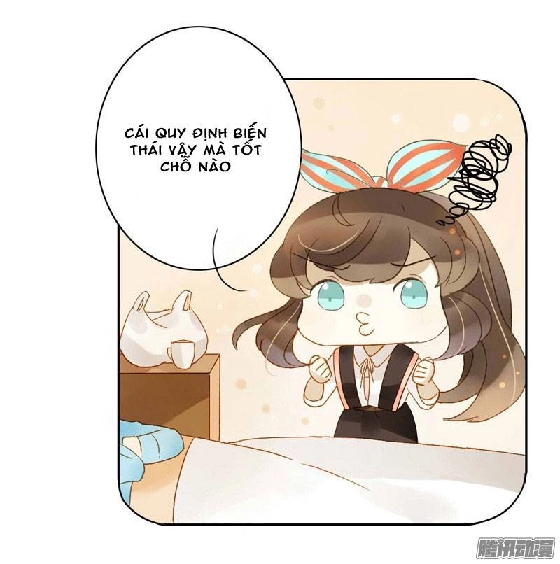 Sức Mạnh Của Sắc Đẹp Chapter 71 - 5