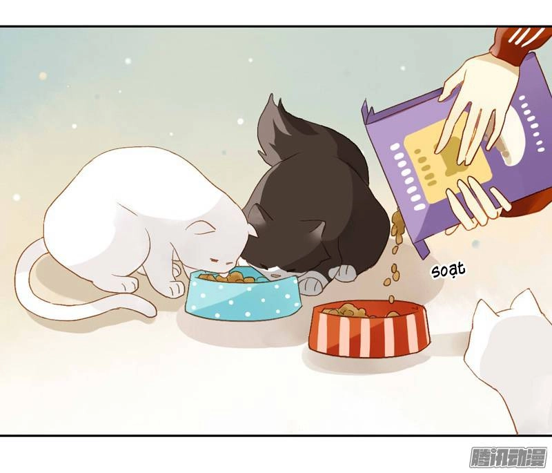 Sức Mạnh Của Sắc Đẹp Chapter 110 - 18