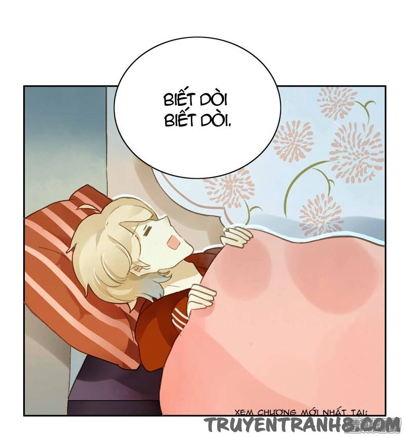 Sức Mạnh Của Sắc Đẹp Chapter 125 - 19