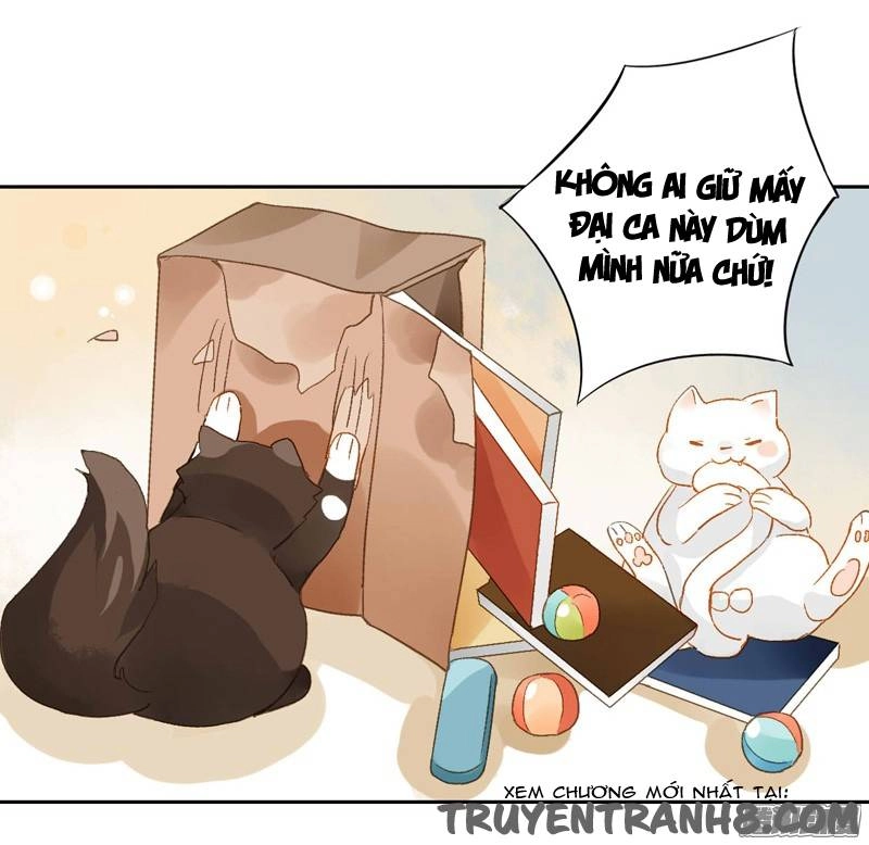 Sức Mạnh Của Sắc Đẹp Chapter 130 - 12