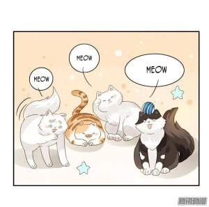 Sức Mạnh Của Sắc Đẹp Chapter 161 - 11