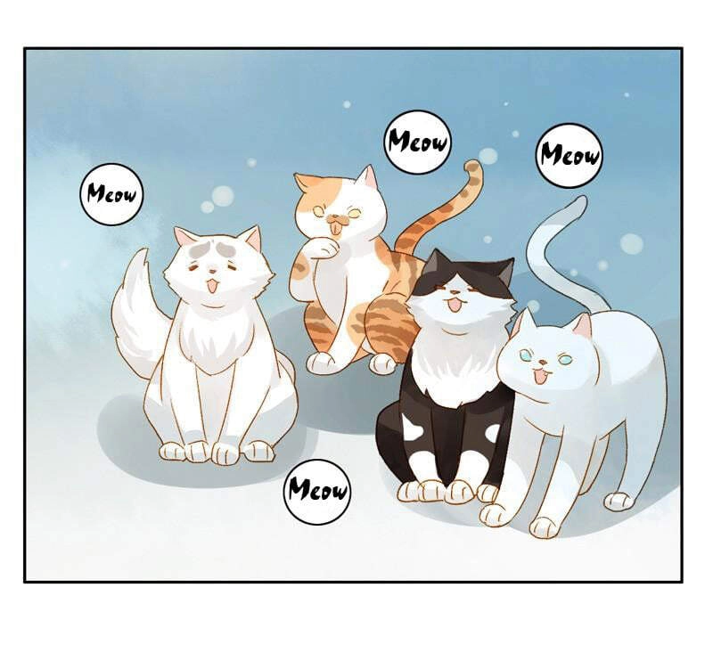 Sức Mạnh Của Sắc Đẹp Chapter 176 - 5