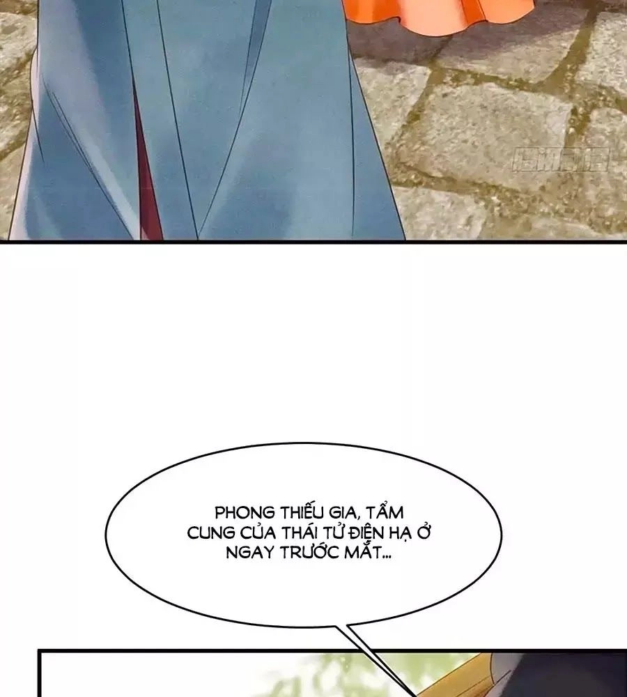 Vương Phi Muốn Trèo Tường Chapter 33 - 4