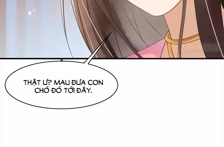 Vương Phi Muốn Trèo Tường Chapter 38 - 11