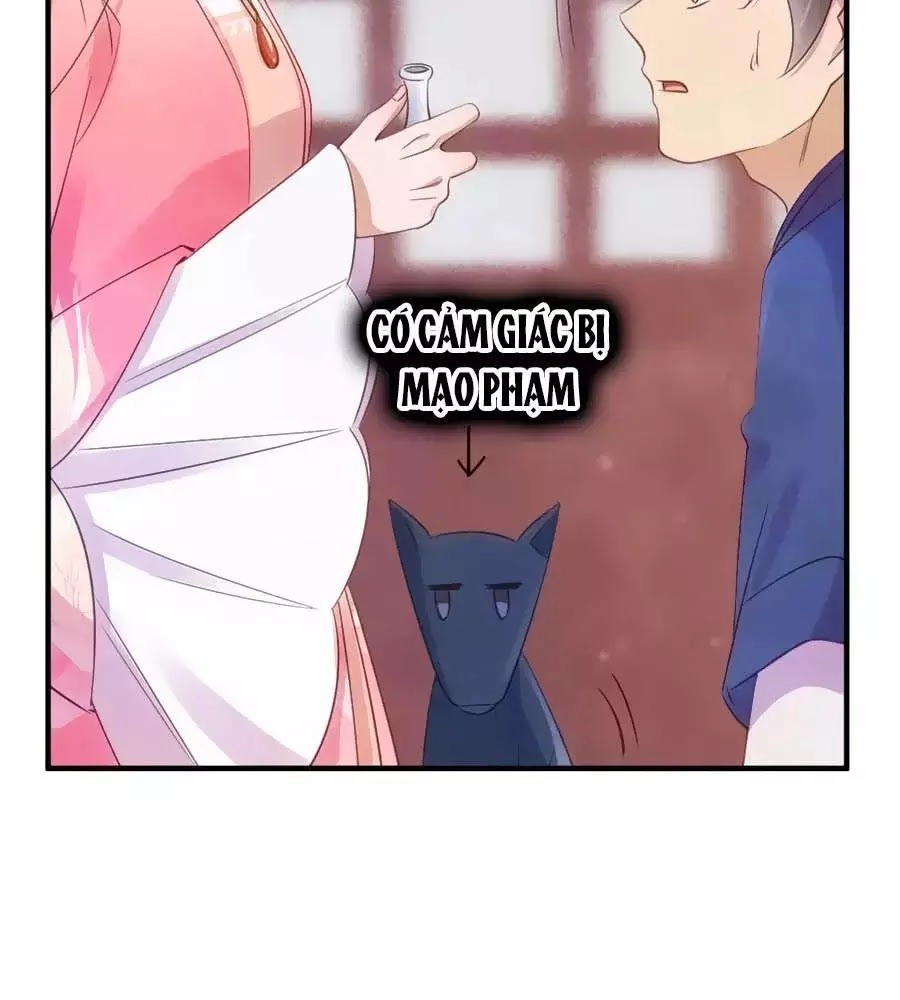 Vương Phi Muốn Trèo Tường Chapter 38 - 33