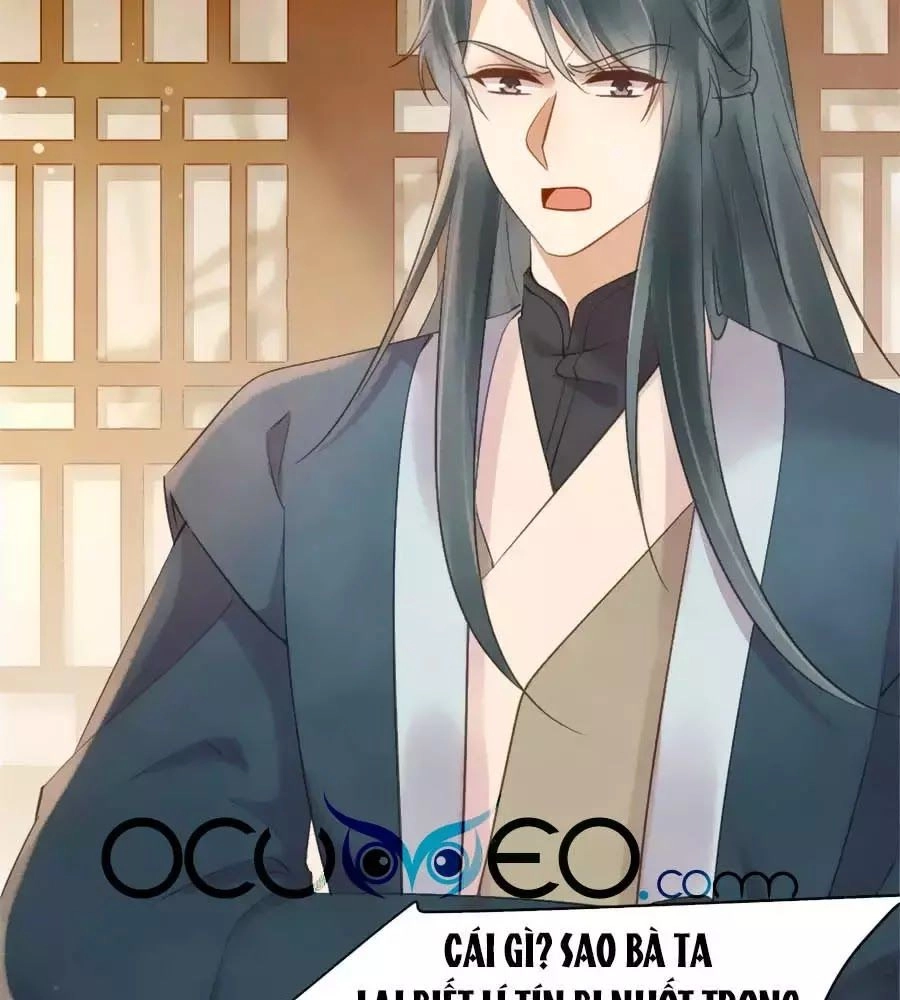 Vương Phi Muốn Trèo Tường Chapter 40 - 17