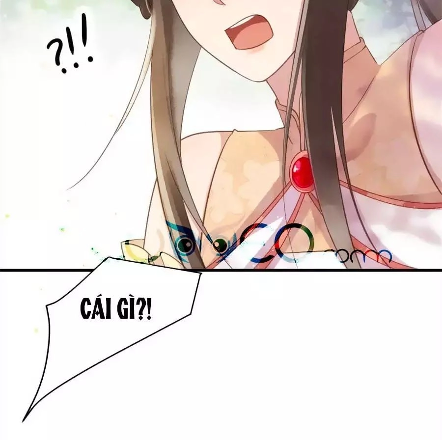 Vương Phi Muốn Trèo Tường Chapter 40 - 53