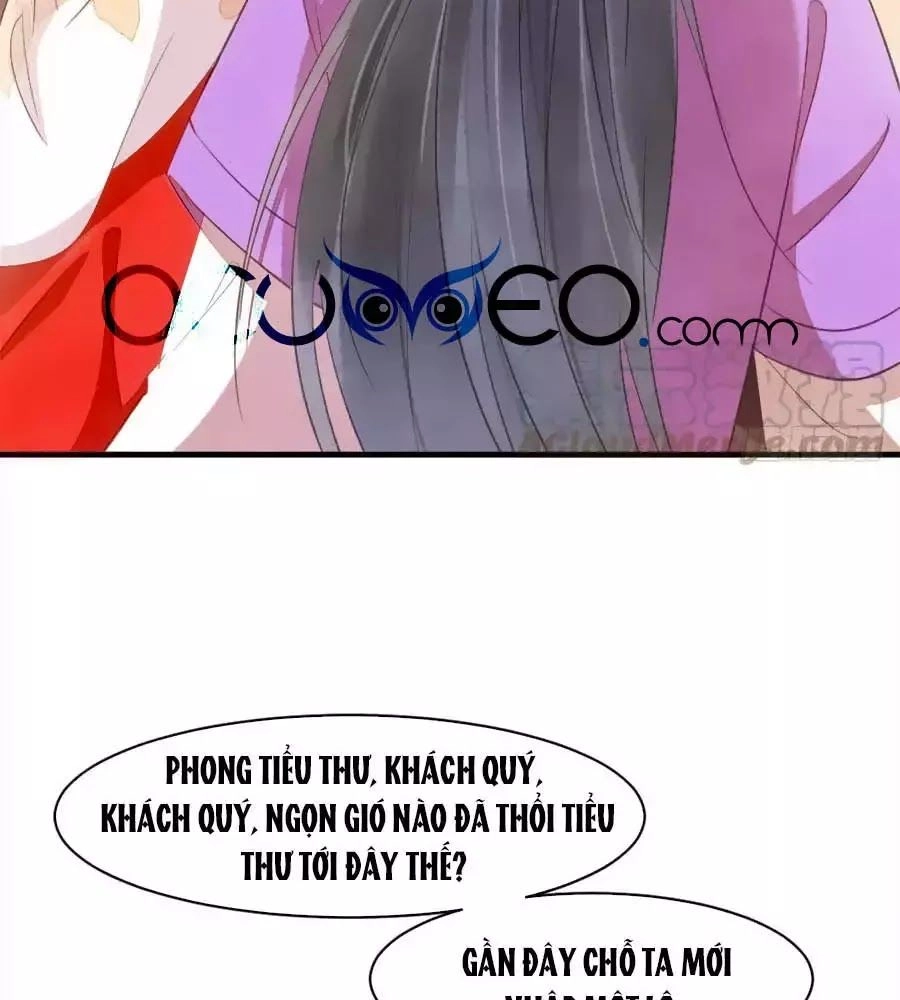 Vương Phi Muốn Trèo Tường Chapter 41 - 23