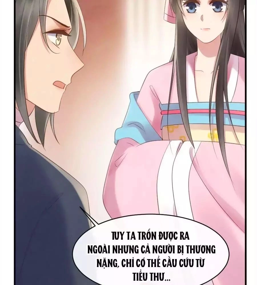 Vương Phi Muốn Trèo Tường Chapter 43 - 41