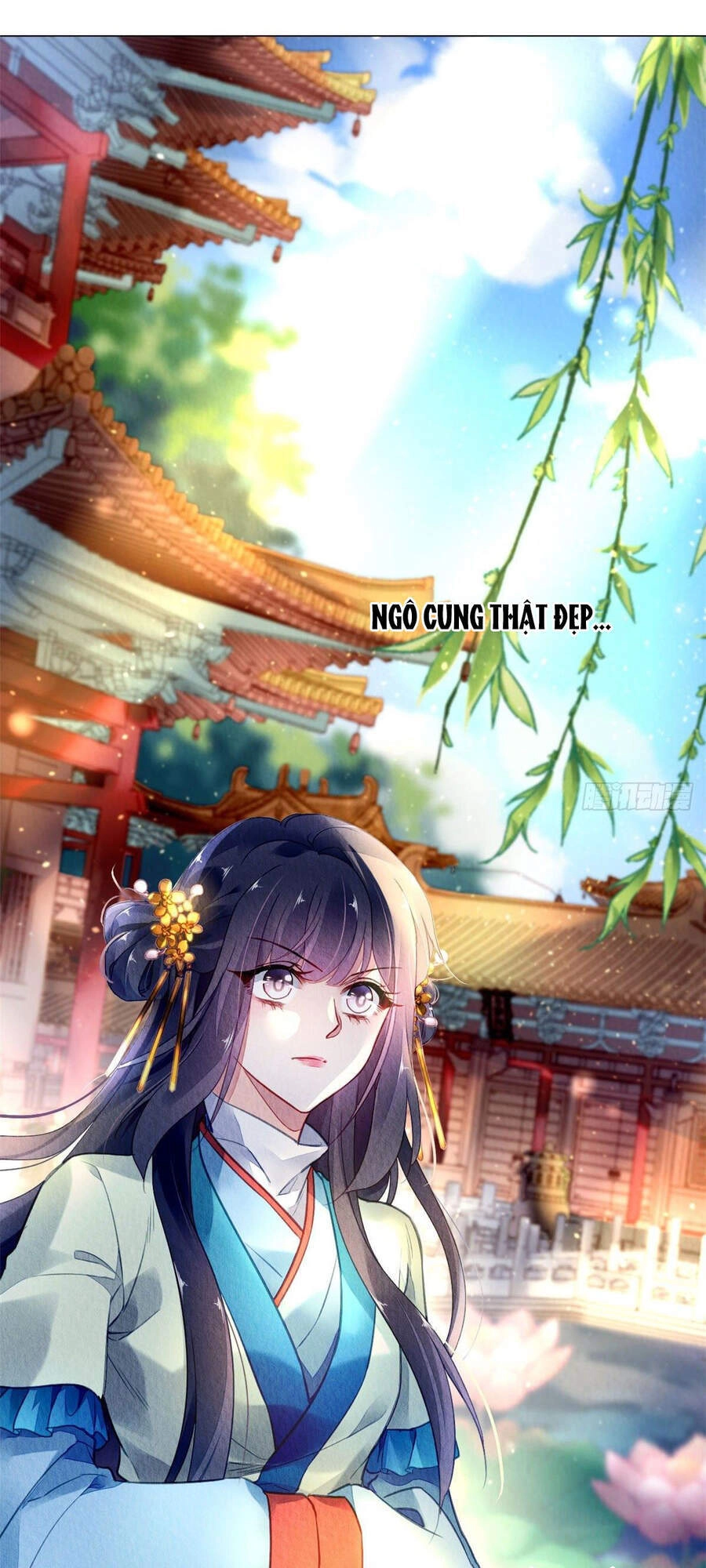 Vấn Đan Chu Chapter 13 - 8