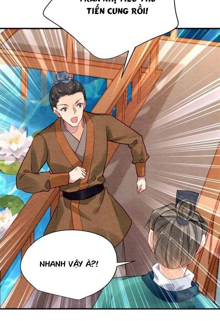 Vấn Đan Chu Chapter 31 - 27