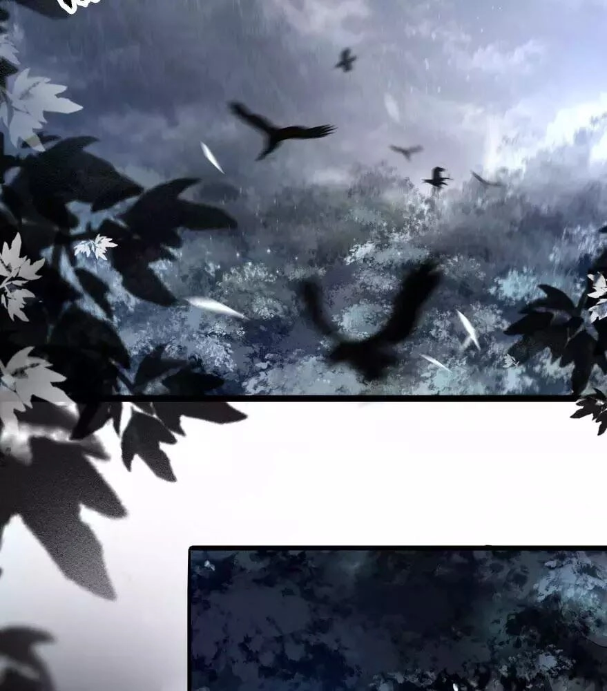 Phượng Hoàng Vu Phi Chapter 2 - 5