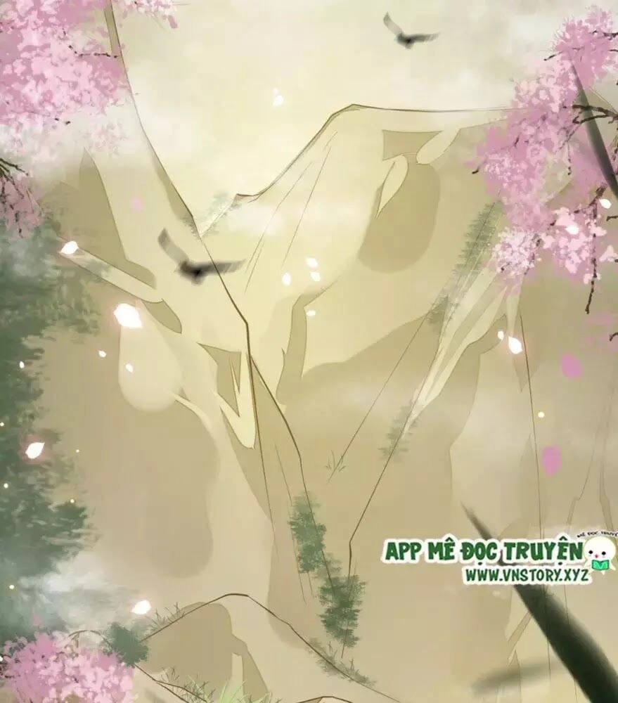 Phượng Hoàng Vu Phi Chapter 2 - 44