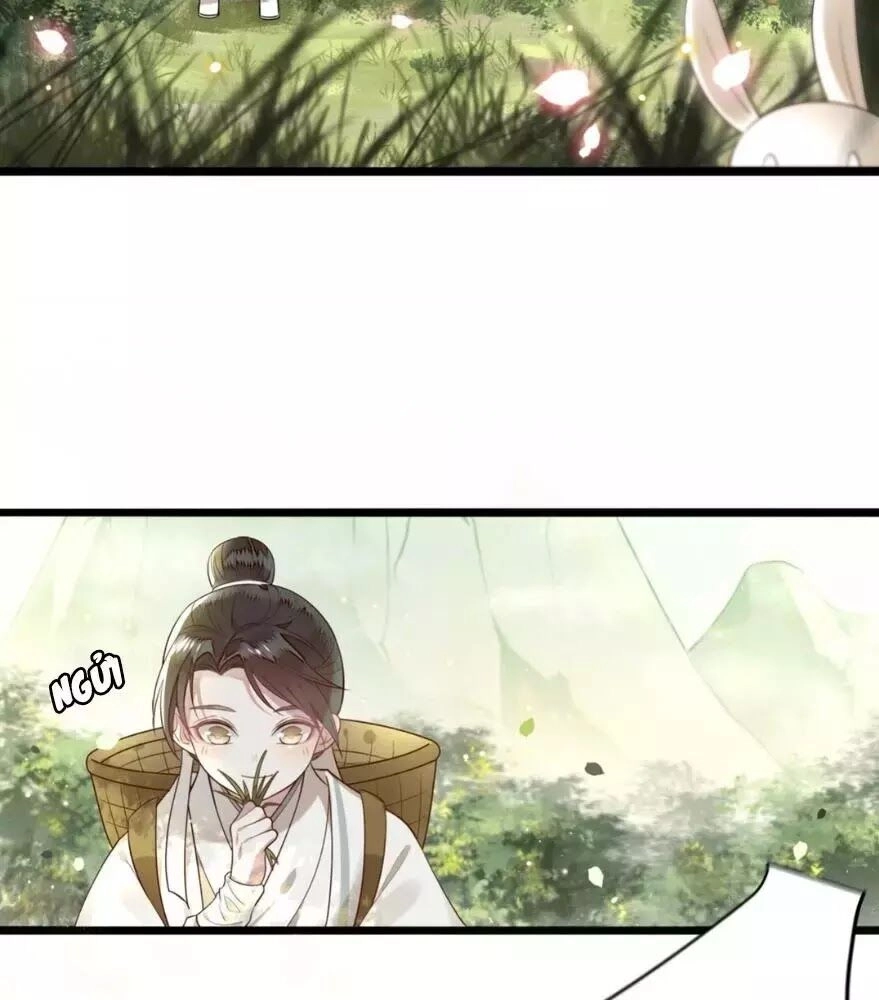 Phượng Hoàng Vu Phi Chapter 2 - 46