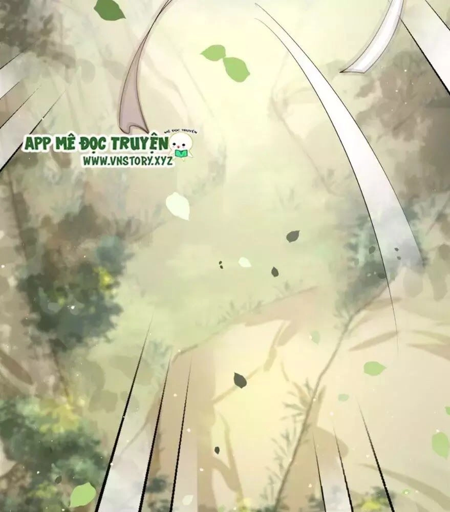 Phượng Hoàng Vu Phi Chapter 2 - 52