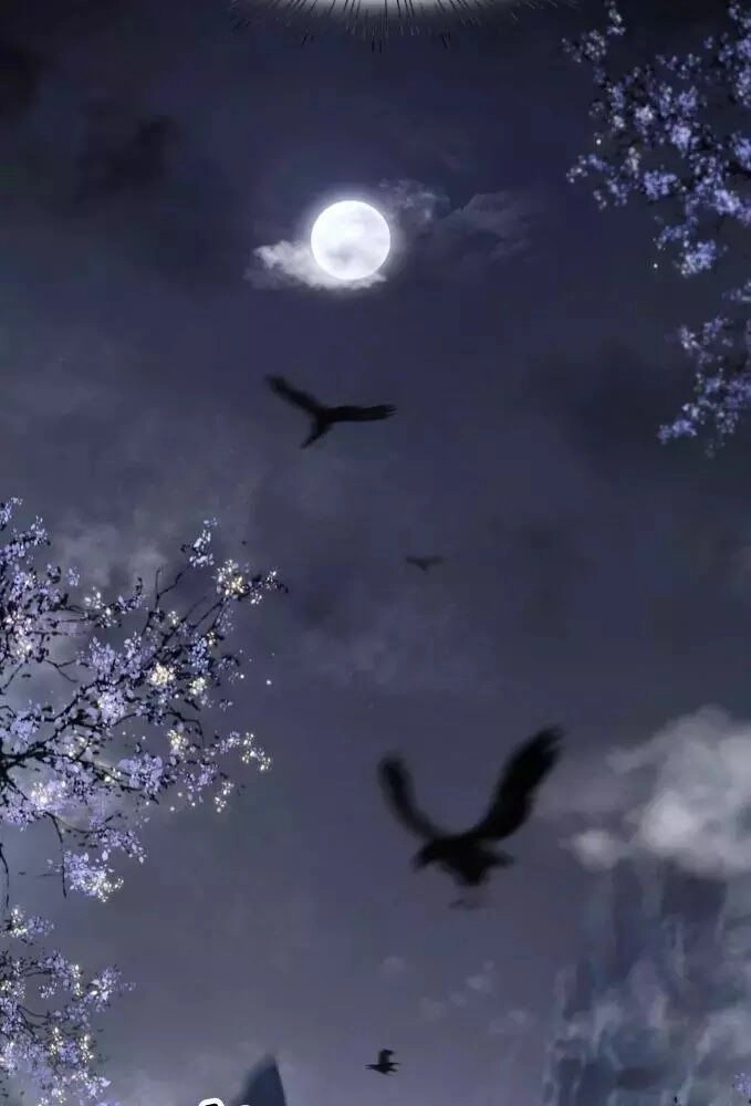 Phượng Hoàng Vu Phi Chapter 3 - 54