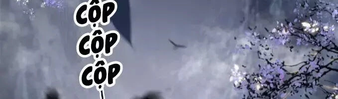 Phượng Hoàng Vu Phi Chapter 3 - 55