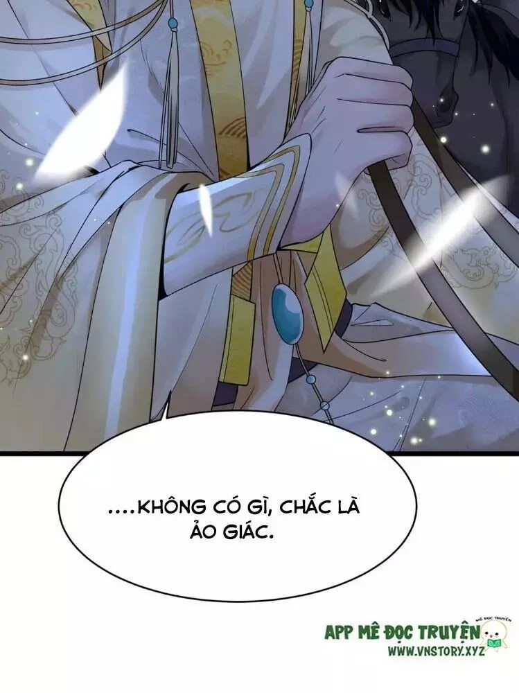 Phượng Hoàng Vu Phi Chapter 4 - 9