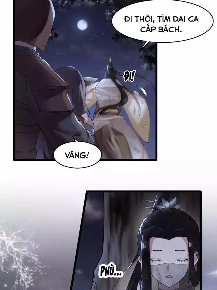 Phượng Hoàng Vu Phi Chapter 4 - 11