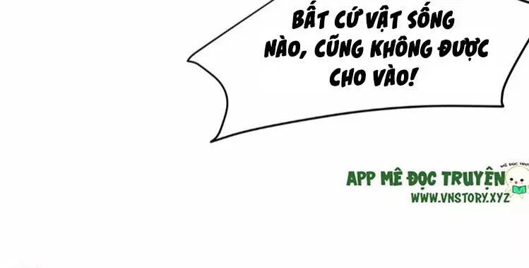 Phượng Hoàng Vu Phi Chapter 4 - 52