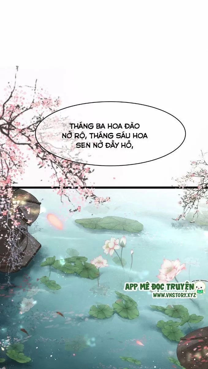 Phượng Hoàng Vu Phi Chapter 6 - 31