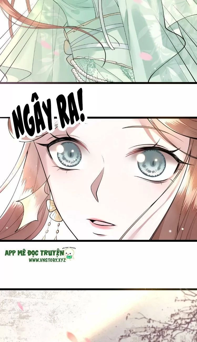 Phượng Hoàng Vu Phi Chapter 7 - 8