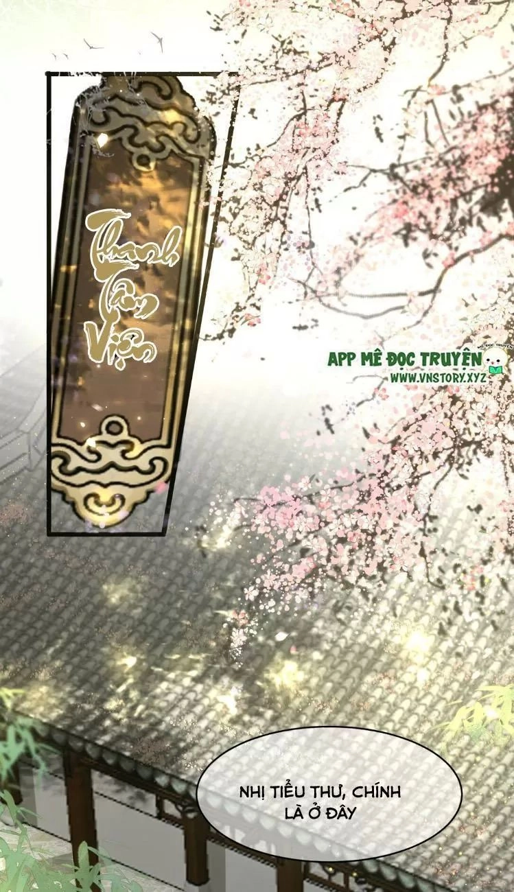 Phượng Hoàng Vu Phi Chapter 7 - 20