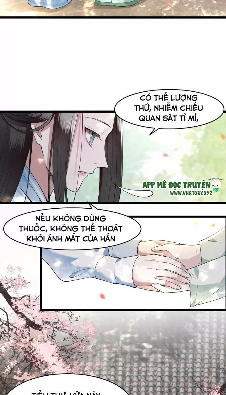 Phượng Hoàng Vu Phi Chapter 11 - 3