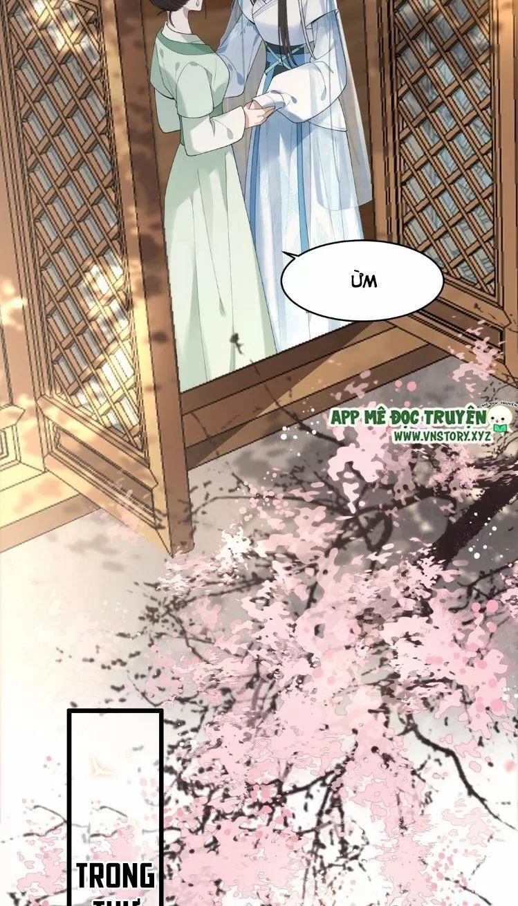 Phượng Hoàng Vu Phi Chapter 11 - 11