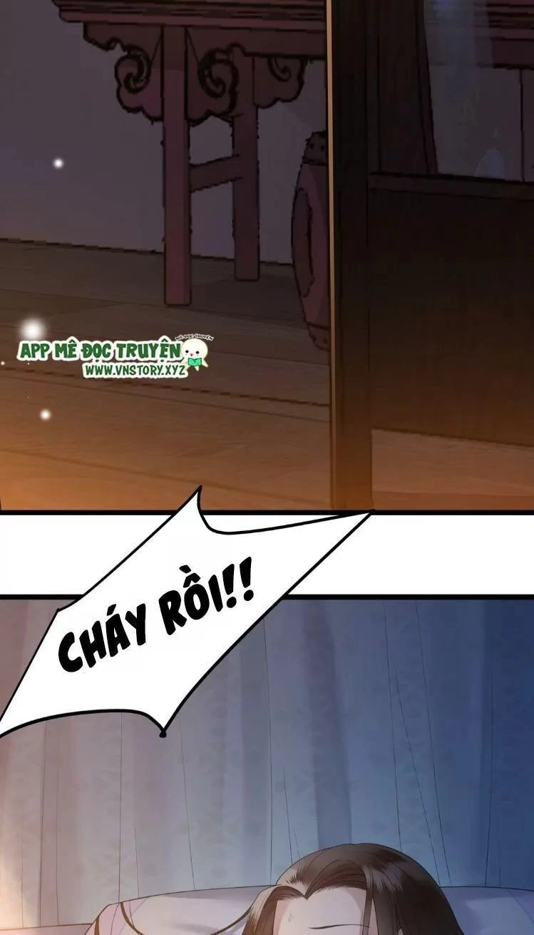 Phượng Hoàng Vu Phi Chapter 11 - 26