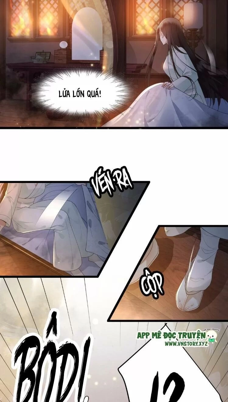 Phượng Hoàng Vu Phi Chapter 12 - 4