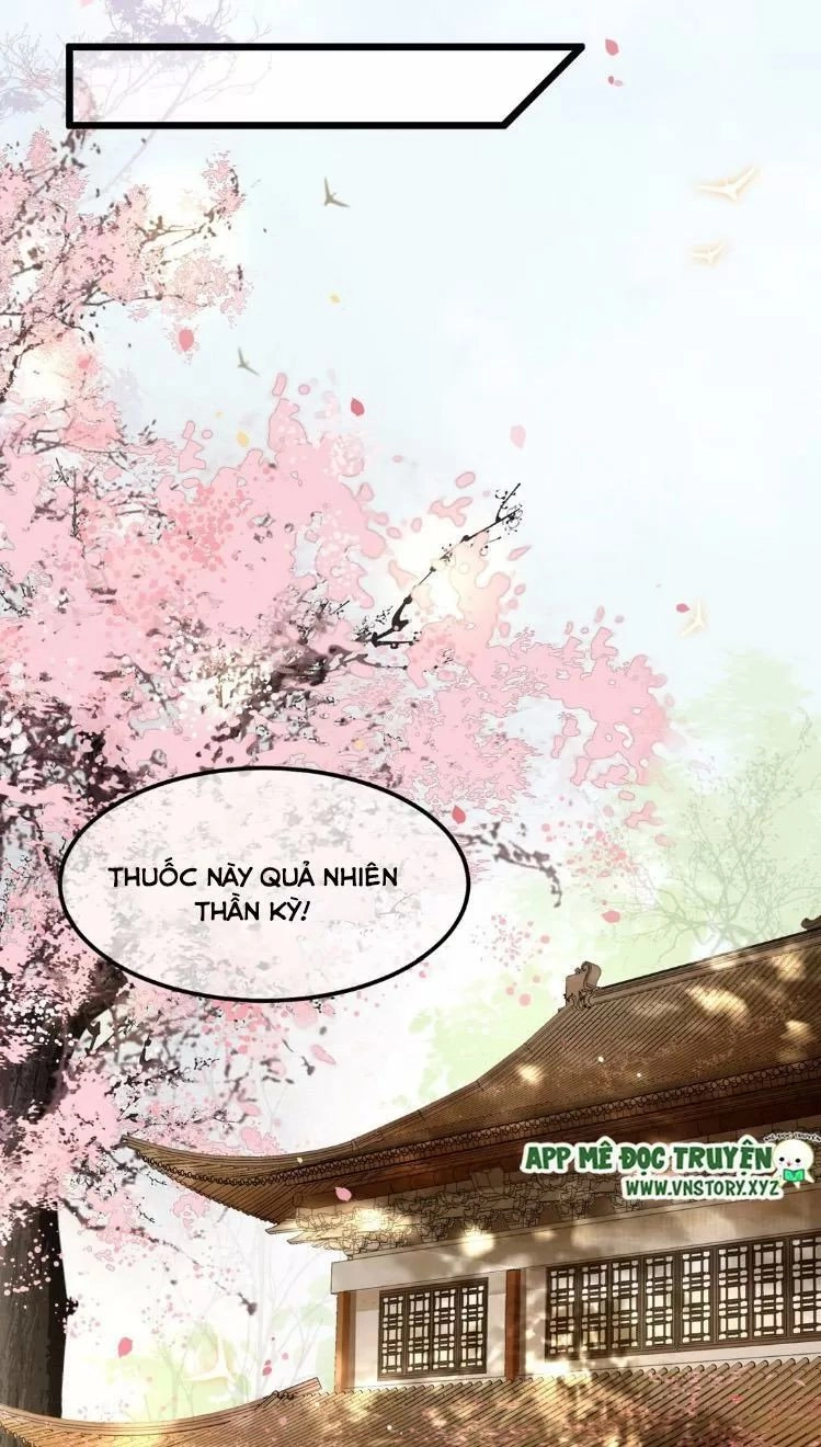 Phượng Hoàng Vu Phi Chapter 16 - 9