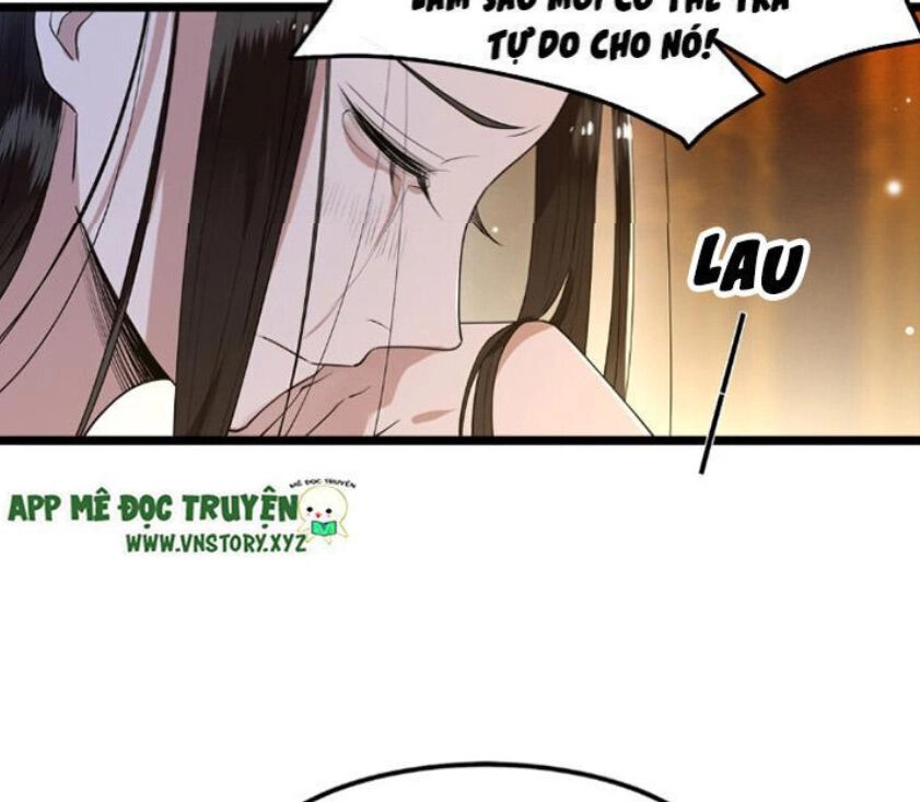 Phượng Hoàng Vu Phi Chapter 21 - 27