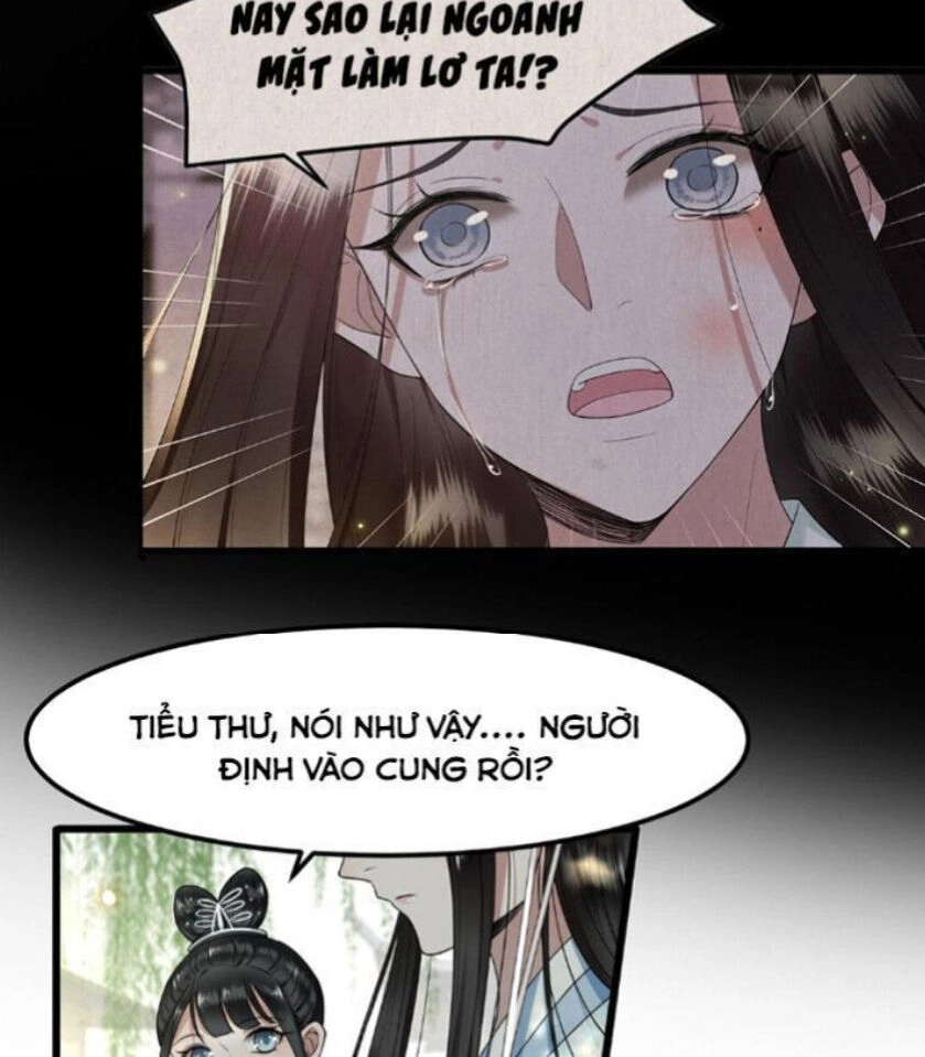 Phượng Hoàng Vu Phi Chapter 28 - 24