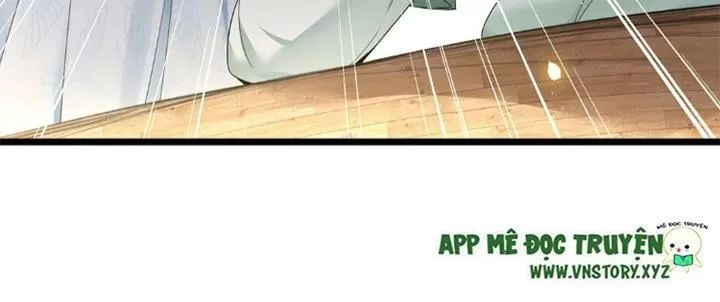 Phượng Hoàng Vu Phi Chapter 36 - 14