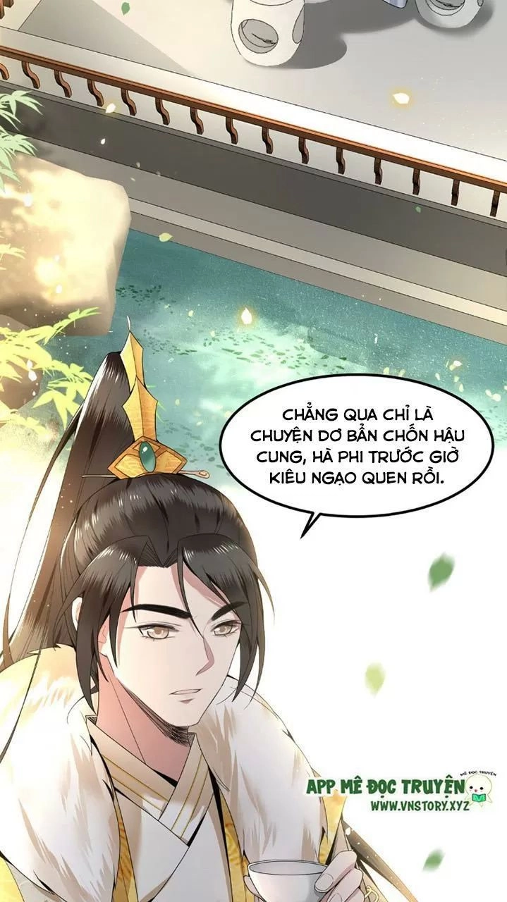 Phượng Hoàng Vu Phi Chapter 37 - 6