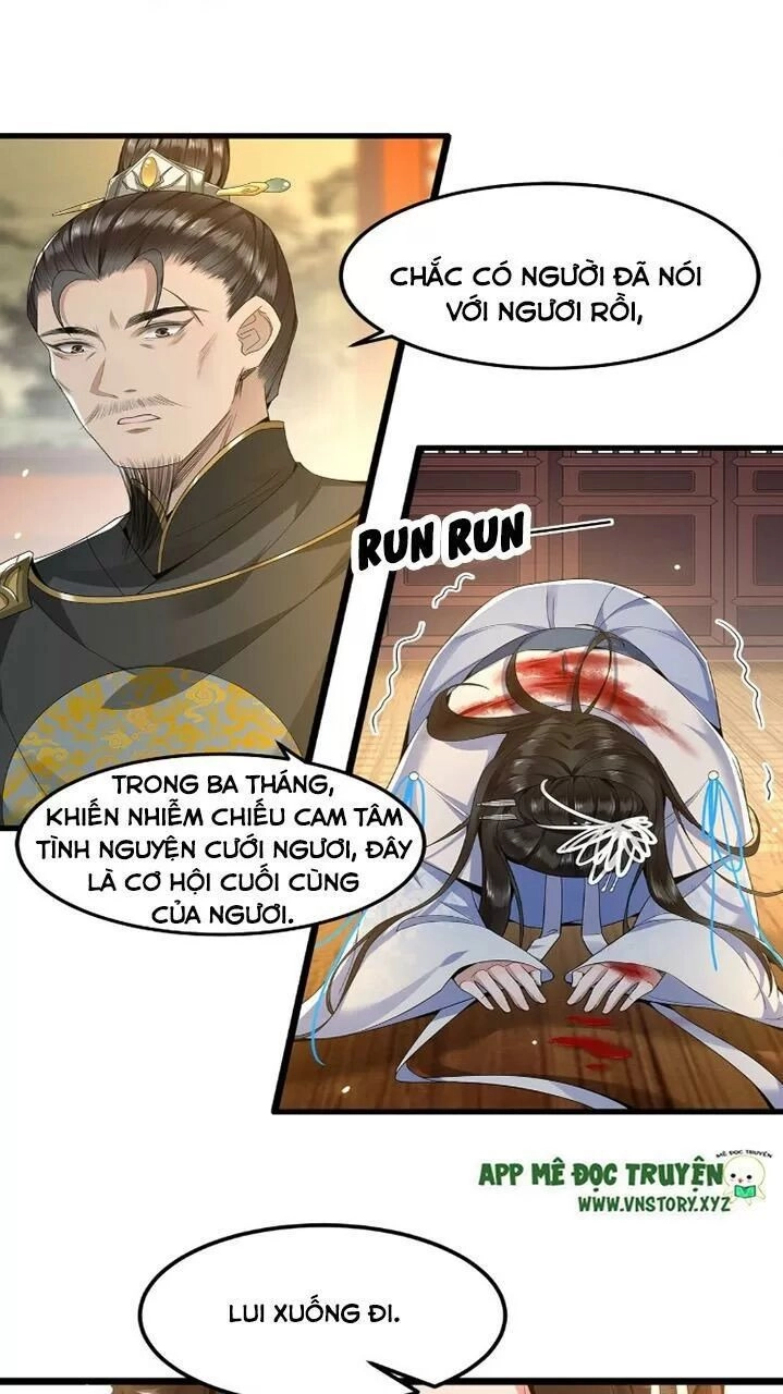 Phượng Hoàng Vu Phi Chapter 40 - 8